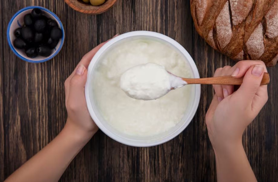 does greek yogurt has lactose