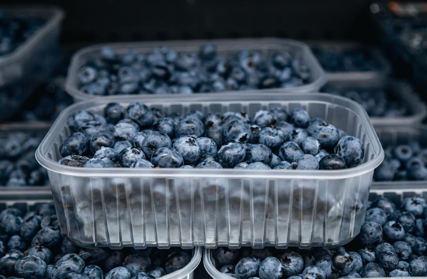 publix greenwise berry recall