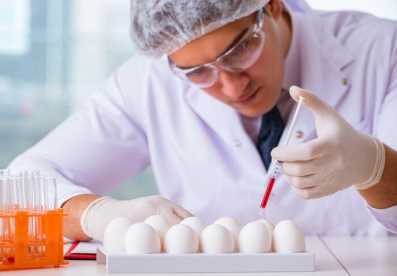 salmonella linked to imported eggs