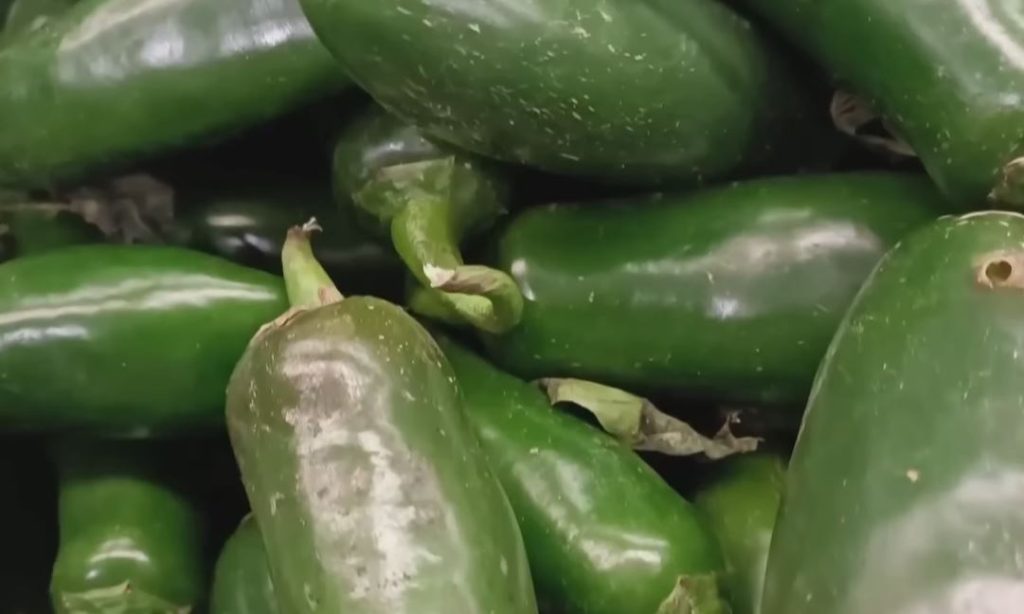 taylor farms jalapeño recall salmonella