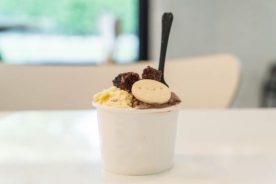 danone usa frozen dessert recall