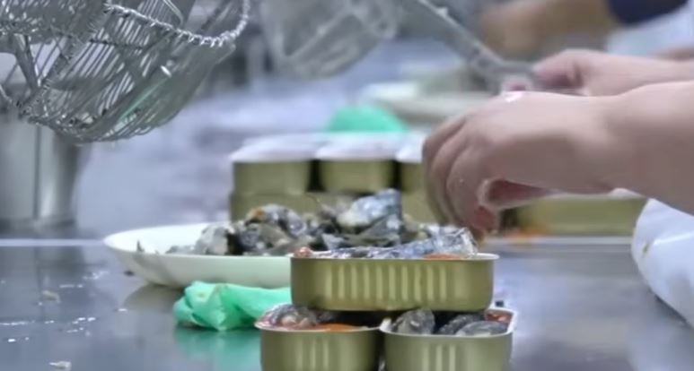 uk canned mackerel now contains no mackerel