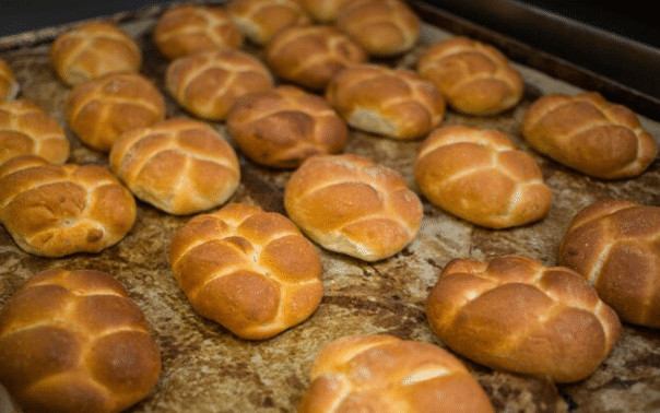 Can you freeze Aldi brioche buns Can you freeze Aldi brioche buns